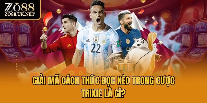 Giải mã cách thức đọc kèo trong cược trixie là gì?